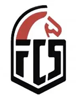 FCS (Falco Communications System)