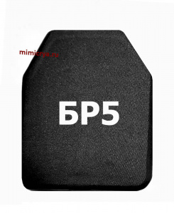 818-2008-42-БР5_0