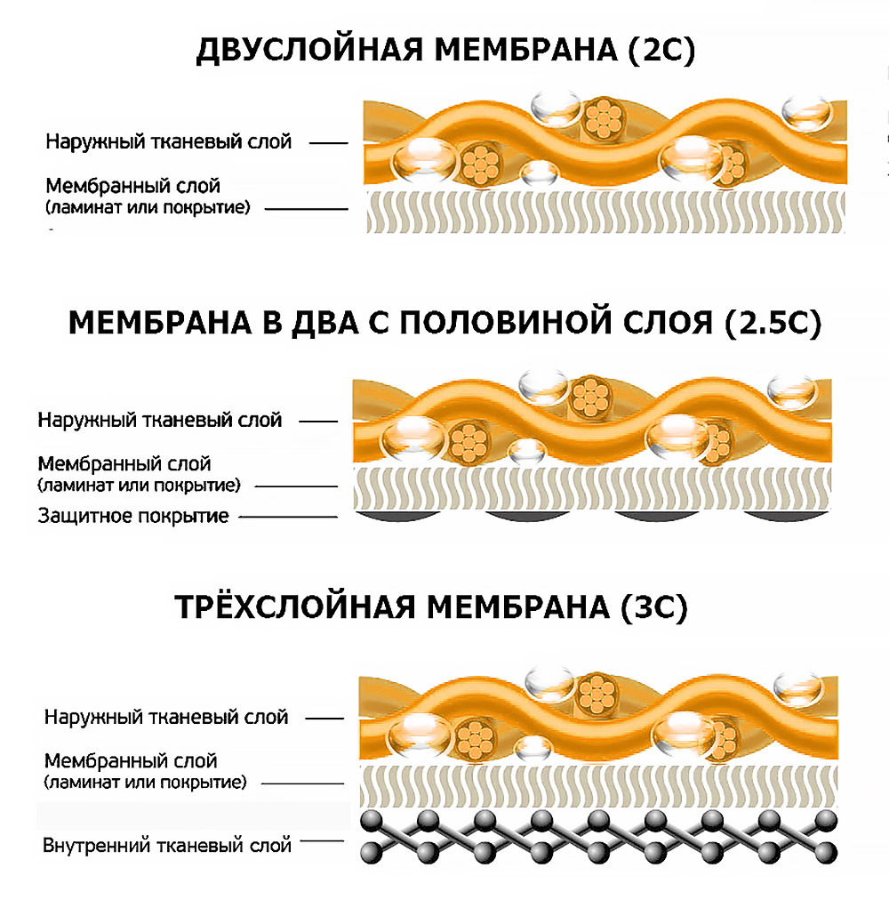 Про_мембраны_мимикрия_вики_3.jpg Про_мембраны_мимикрия_вики_3.jpg