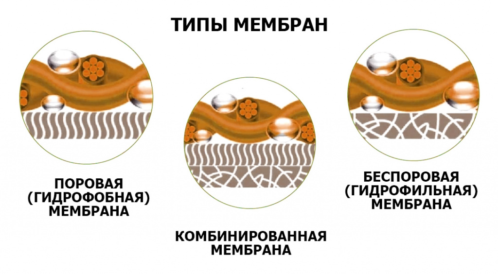 Про_мембраны_мимикрия_вики_2.jpg Про_мембраны_мимикрия_вики_2.jpg