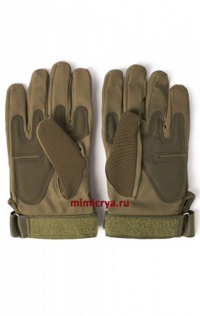 OLIVE_2