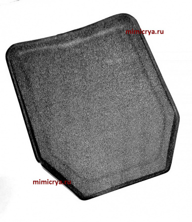 818-2008-42-БР5_2