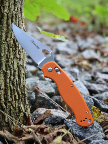 G729-OR_5