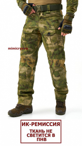 GEN 3_1