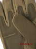 OLIVE_6